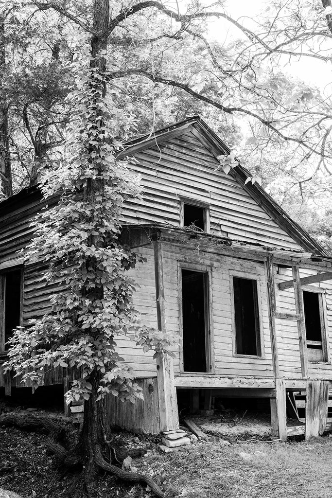Black and white photograph of an abandoned house in the countryside with the setting sun shining through the tree tops behind it