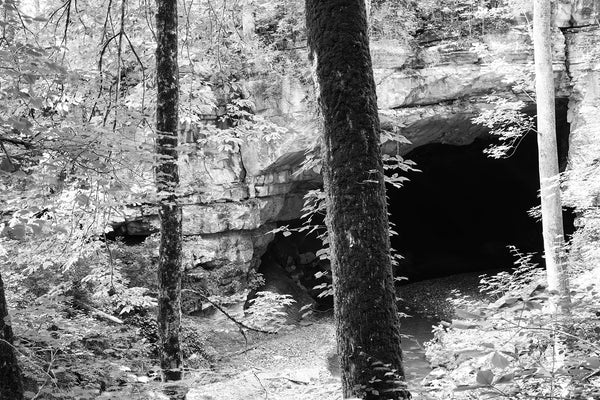 Black and White Photograph of a Large, Dark Cave in the Forest