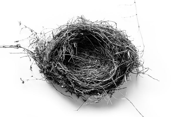 Highly detailed black and white fine art photograph of a beautiful bird nest on a simple white background.