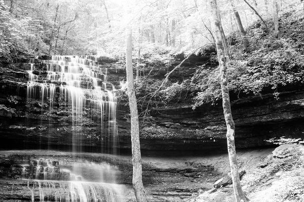 Black and white landscape photograph of sunlight catching the trees and streams of a cascading waterfall deep in the forest.