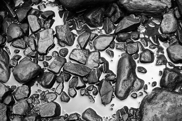 Black and white photograph of wet rocks in a shallow pool of water that's reflecting soft morning light.