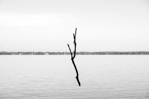 Black and white photograph of a fallen branch seemingly floating in mid-air with an empty lake in the background. Upon closer inspection, we can see that the branch is suspended on a strand of fishing line.
