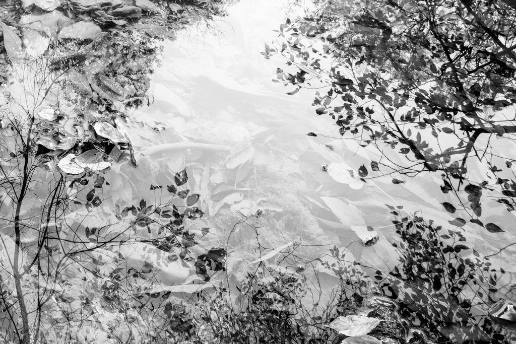 Black and white landscape photograph focused on one small section of a placid stream with tree branches reflecting in its peaceful surface. In this image, we see beneath the surface, the surface itself, and the trees reflected from above.