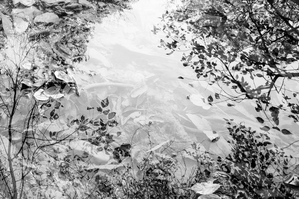 Black and white landscape photograph focused on one small section of a placid stream with tree branches reflecting in its peaceful surface. In this image, we see beneath the surface, the surface itself, and the trees reflected from above.