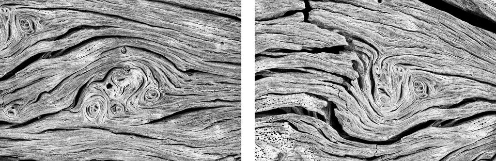 Set of two highly detailed black and white abstract photographs of beautiful abstract patterns found in a driftwood tree on the beach