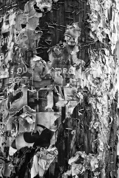 Black and white abstract photograph of a telephone pole covered in staples and fragments of old club and band posters on Frenchman Street in New Orleans.