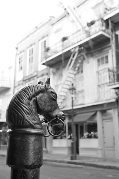 Black and white photograph of a black metal horse head post in the French Quarter of New Orleans.