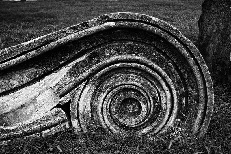 Black and white photograph of an Ionic Capitol from a Greek Revival column lying in the grass. Removed from the original Tennessee State Capitol building in Nashville during a renovation, these pieces of stone columns have been scattered around Nashville as a reminder of its reputation as "the Athens of the South."