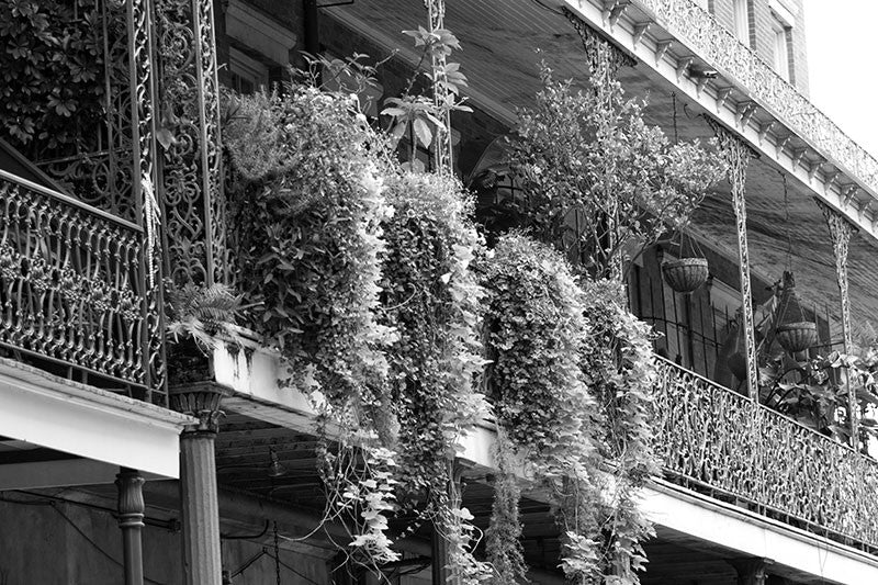Black and white photograph of beautiful ironwork balconies, the landmark architectural element in the New Orleans French Quarter.