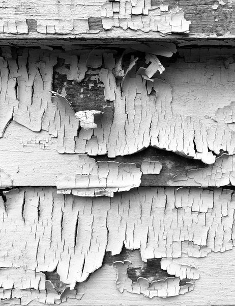 Black and white macro photograph of large curls of white paint peeling away from the outside of a white clapboard house.