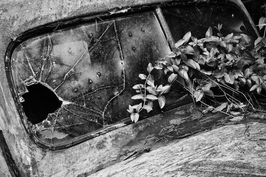 Broken Windshield on an Abandoned Antique Truck Found in a Ditch (IMG_4975)