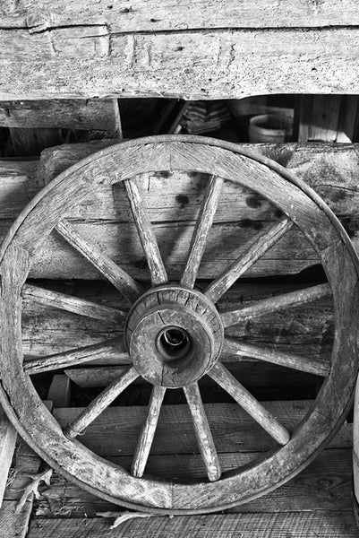 Black and white photograph of an antique spoked wagon wheel found inside a wooden barn.