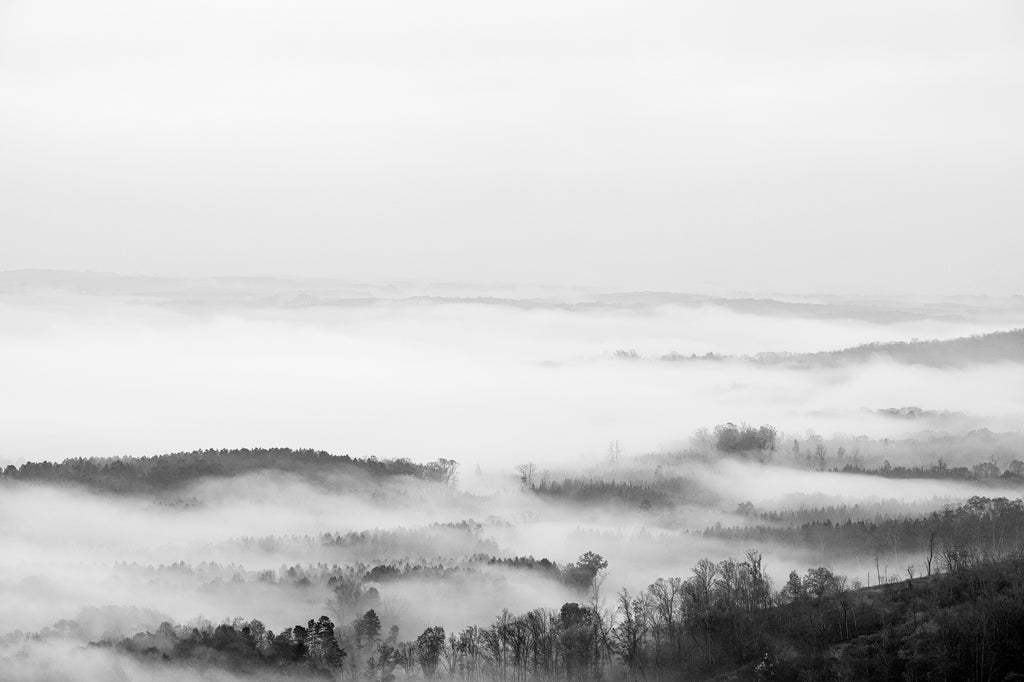 Black and white landscape photograph of dense morning fog passing over and between the trees and rolling peaks of an eastern mountain valley.