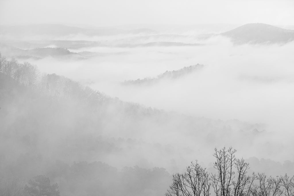 Black and white landscape photograph of mountain ridges in dense fog with a black barren tree in the foreground.