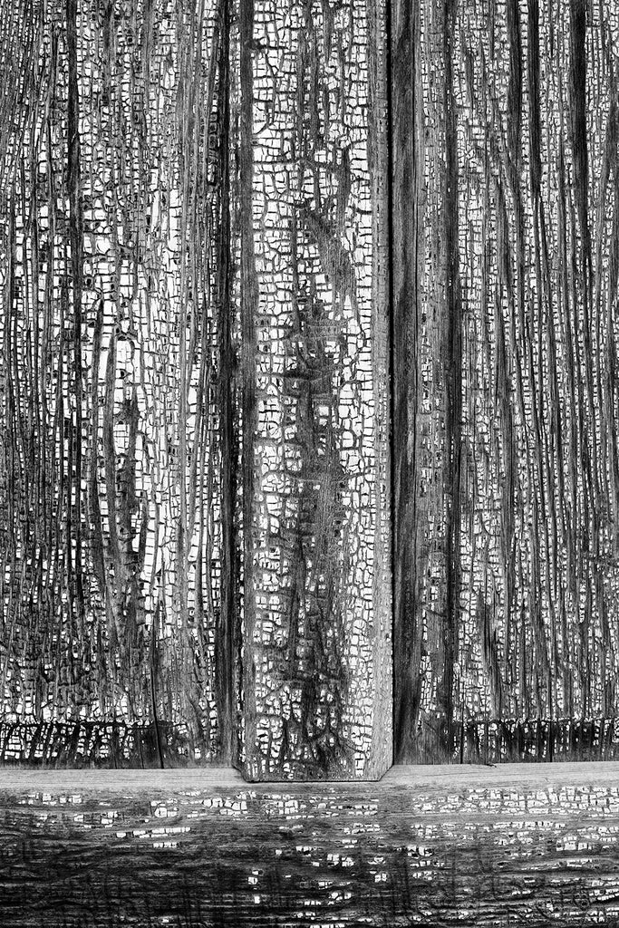 Black and white photograph detail photograph of the weathered and cracked wooden door on an old house in the desert.