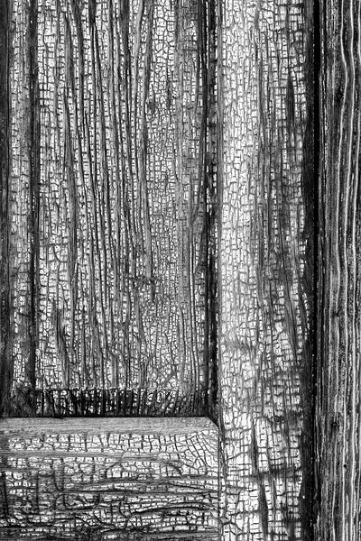 Black and white detail photograph of the cracked and weathered wooden door on an old house in the desert.