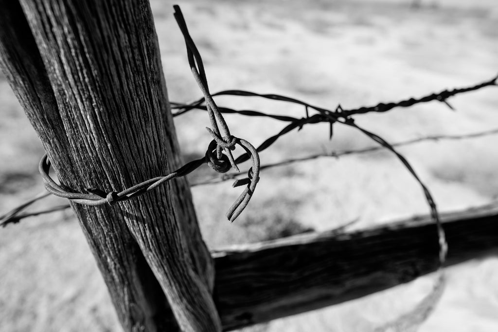 Black and white photograph of a weathered old fence post with curls of rusty barbed wire.