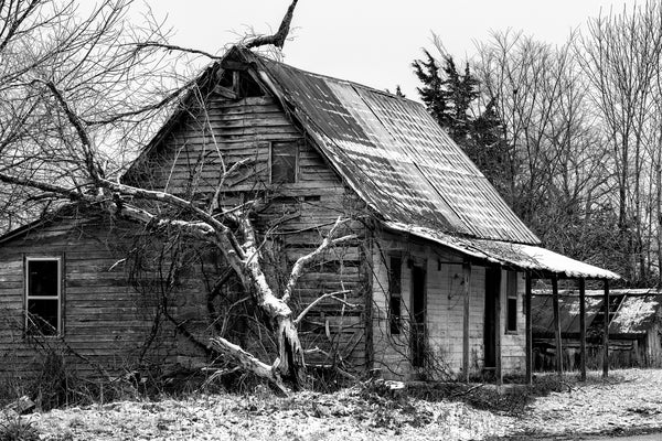 Black and white photograph of an abandoned old farm house with a fallen tree in the first snow of winter.