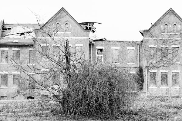 Black and white photograph of a tangled bush on the lawn before a large building on an abandoned college campus in the American South.
