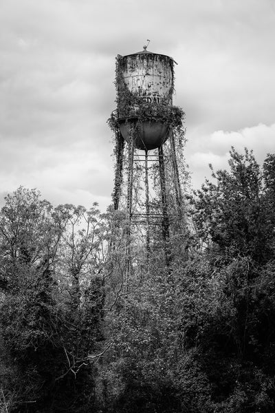 Black and white photograph of an old steel water tower covered in ivy in the Mississippi Delta town of Rosedale, Mississippi.
