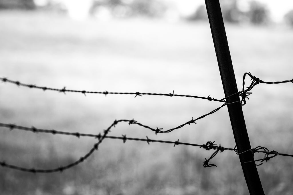 Black and white landscape photograph of the wavy lines of a rusty old barbed wire fence along the perimeter of a sunlit summer pasture.