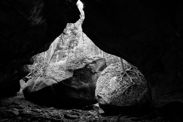 Black and white photograph of huge boulders in the shadow of giant overhead rock formations in the dense forest.