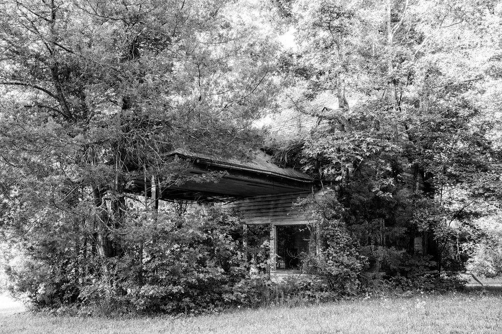 Black and white photograph of the ruins of a vintage service station overtaken by trees and shrubbery along a backroad in rural Virginia.