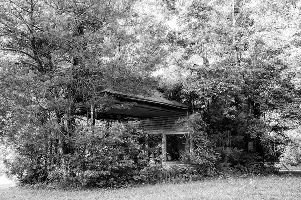 Black and white photograph of the ruins of a vintage service station overtaken by trees and shrubbery along a backroad in rural Virginia.