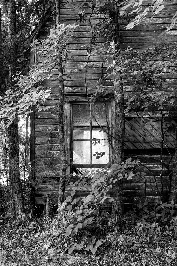 Black and white photograph of the ruins of a vintage roadside service station now overgrown and collapsing in rural Virginia.