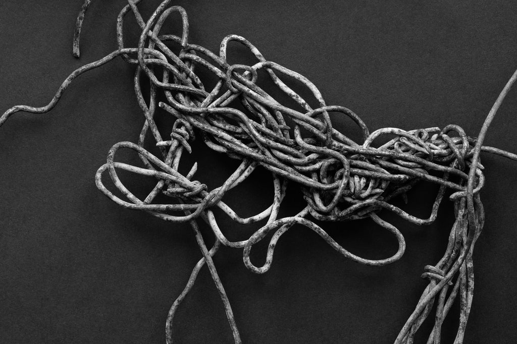 Black and white photograph of a rusty bundle of discarded fence wire found along a country road. When seen through the camera viewfinder, it looked like a gesture line drawing of a bull, like one of Picasso's toros or a prehistoric cave painting.