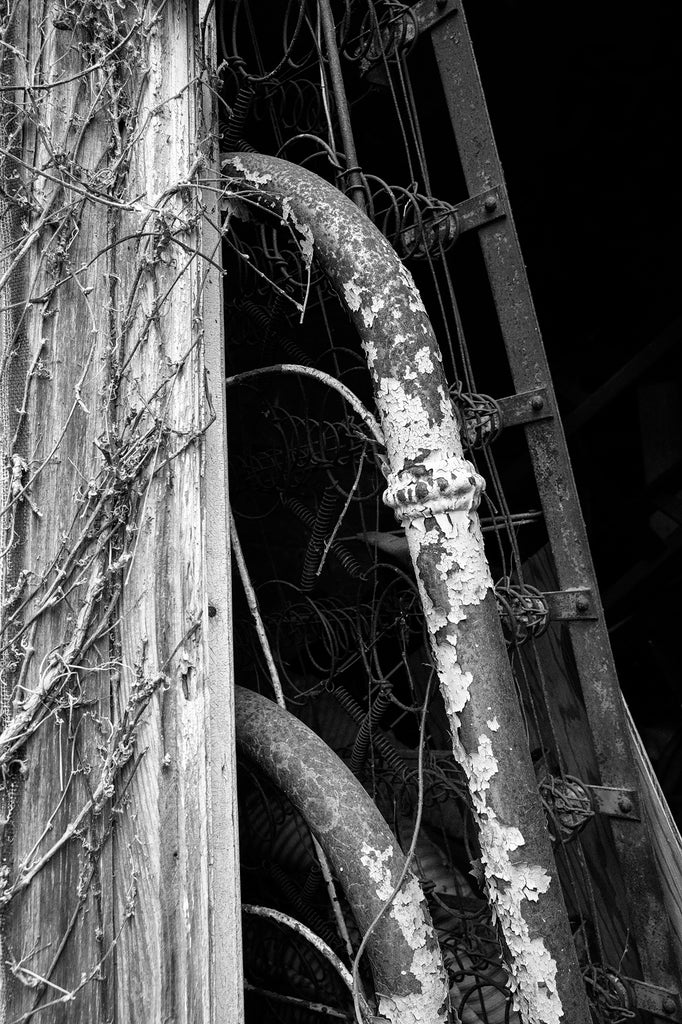 Black and white photograph of a rusty iron bed seen through the open window of a rustic abandoned farmhouse found along a backroad in the American South.