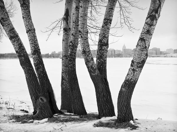 Black and white landscape photograph of the winter view of Madison, Wisconsin as seen across frozen, white Lake Monona.