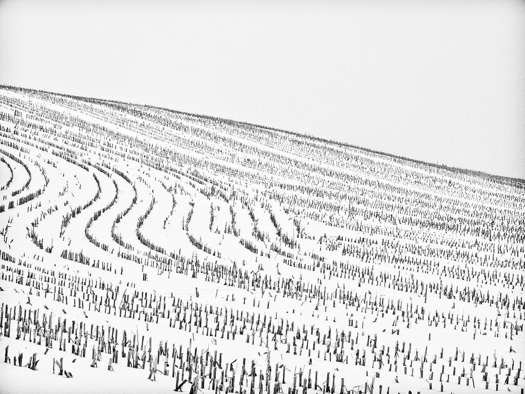Black and white landscape photograph of dormant farm rows under snow, creating an interesting abstract pattern across a wintery white hillside.