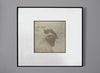 Rooster Portrait -- A Real Cyanotype Print Toned with Black Coffee