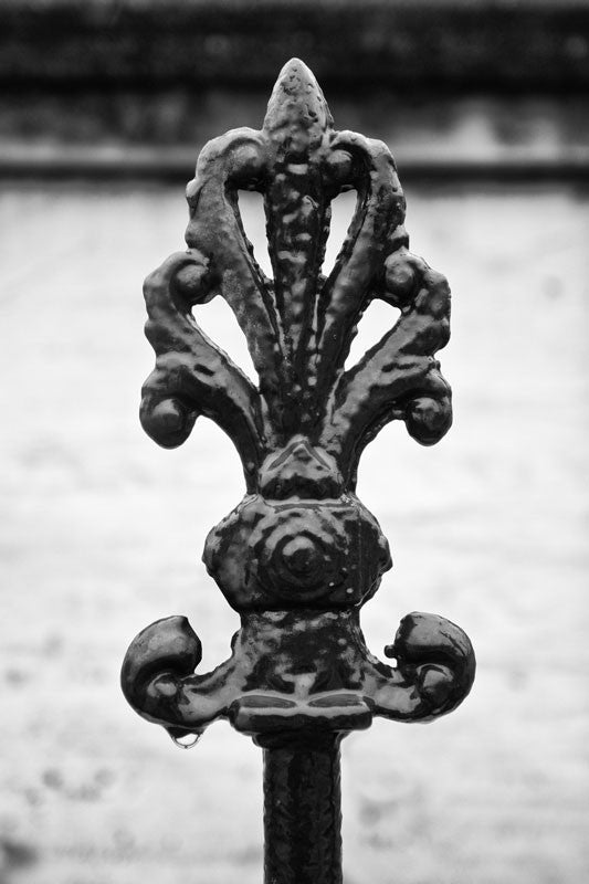 Black and white photograph of a cast iron palm leaf fence ornament on a rainy day in Savannah.