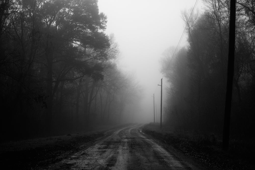 Black and white landscape photograph of a rain-soaked backroad winding through the woods into the fog.