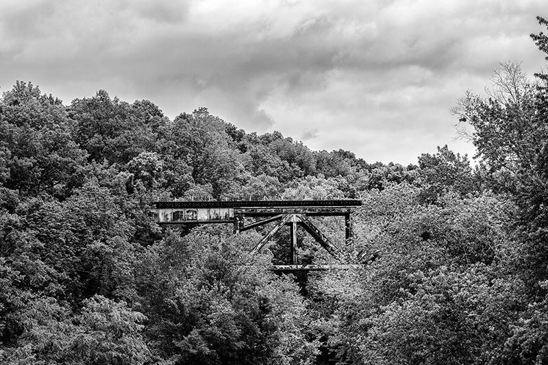Black and white photograph of a railroad bridge running through the forested hills near Adams, Tennessee.