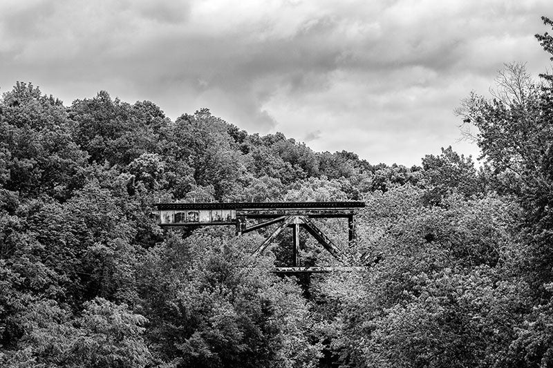 Black and white photograph of a railroad bridge running through the forested hills near Adams, Tennessee. 