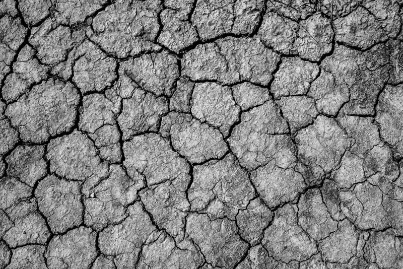 Cracked Earth, Utah (RQ0A6394)