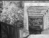 Close up look at the HP5 film grain in the one lane bridge photograph