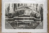photograph of an actual selenium toned black and white print