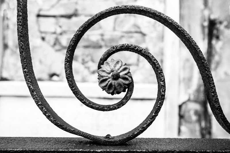 Black and white fine art photograph of a rusty, hand-wrought spiral iron fence with a flower at its center, in New Orleans, Louisiana.