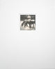 Original polaroid photograph of grazing horses by Keith Dotson, matted to fit an 11 x 14 inch frame