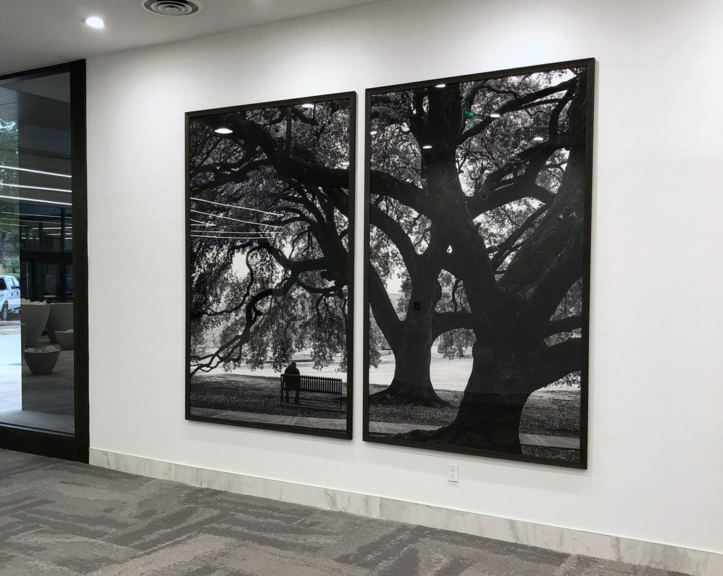 Keith Dotson tree photographs chosen for NCH Corporation headquarters in Texas