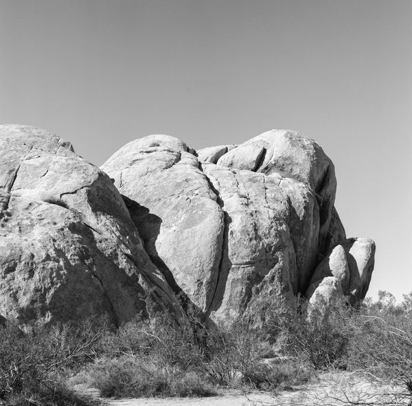 Black and white landscape photograph of a large rock formation seen at Joshua Tree National Park in the desert of California.  This photograph was shot on medium format black and white film using a vintage Hasselblad camera. Film photography provides a different look than digital photography and prints will display a pleasing amount of film grain and may appear somewhat softer than modern digital images. (Square format)