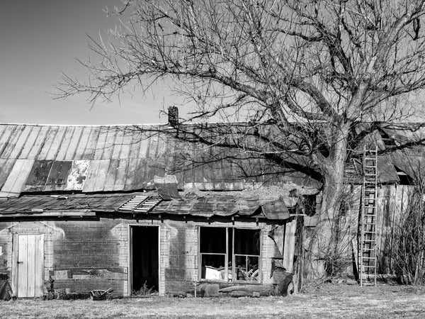 Black and white photograph of the ramshackle remains of an old country general store found along a backroad in the American South.