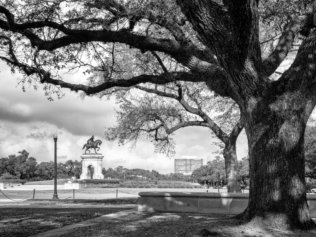 Black and white photograph of the Sam Houston statue framed under a large oak tree in Houston's beautiful Hermann Park.