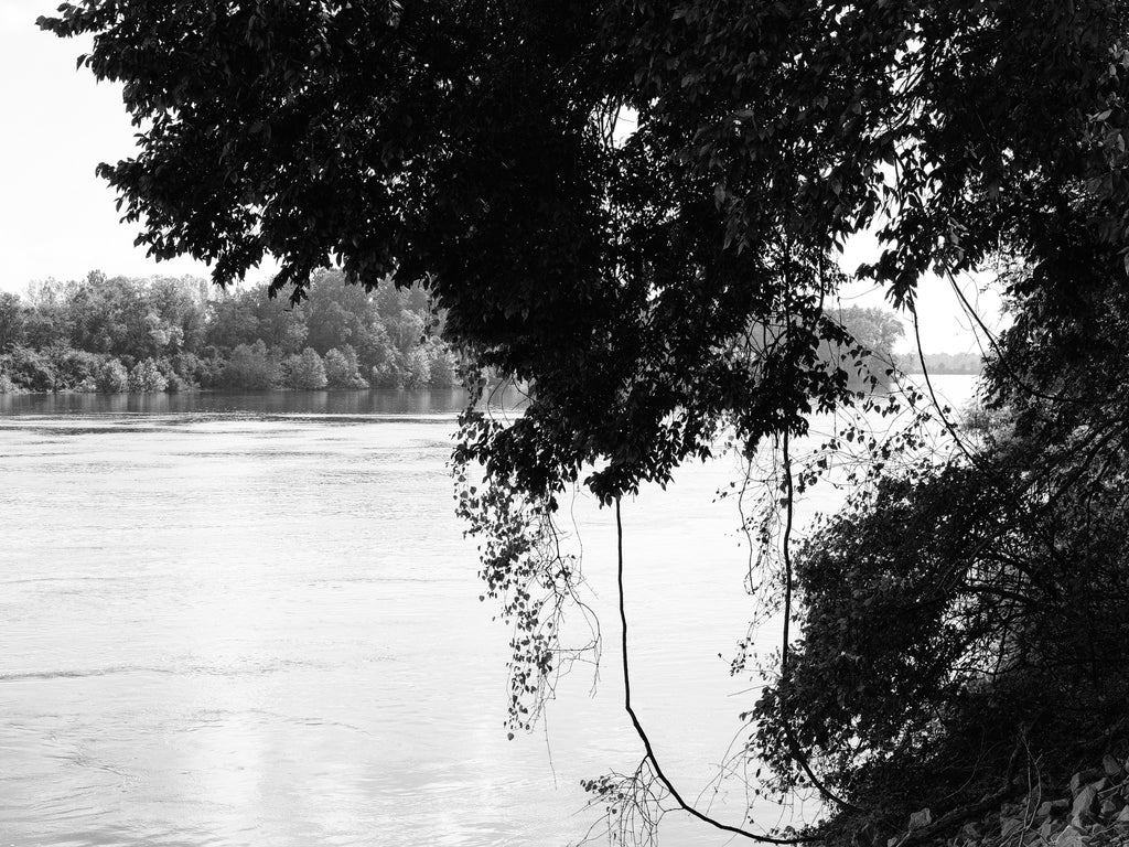 Black and white photograph of the wide and placid Tennessee River rolling through the southern landscape.