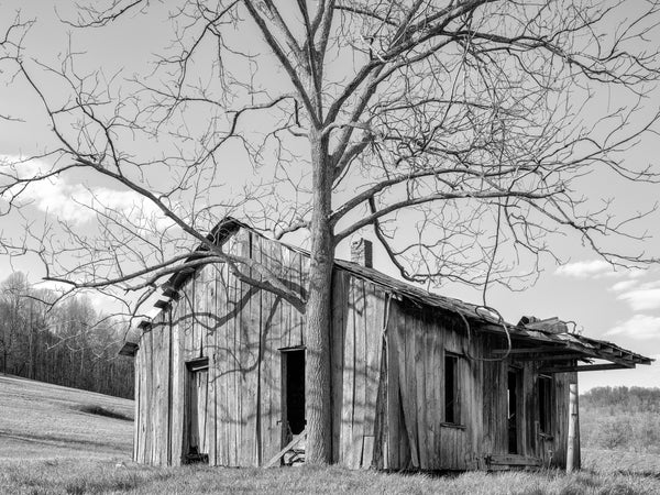 East Tennessee