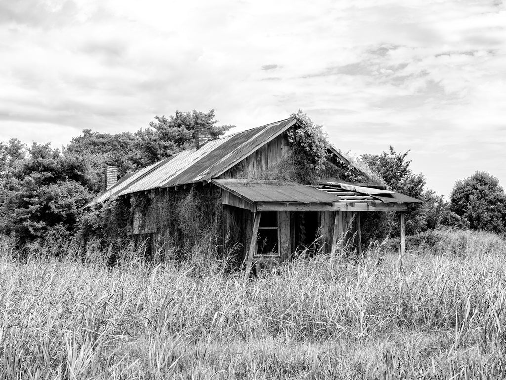 Black and white photograph of an abandoned house standing amidst tall grass in the rural American south.